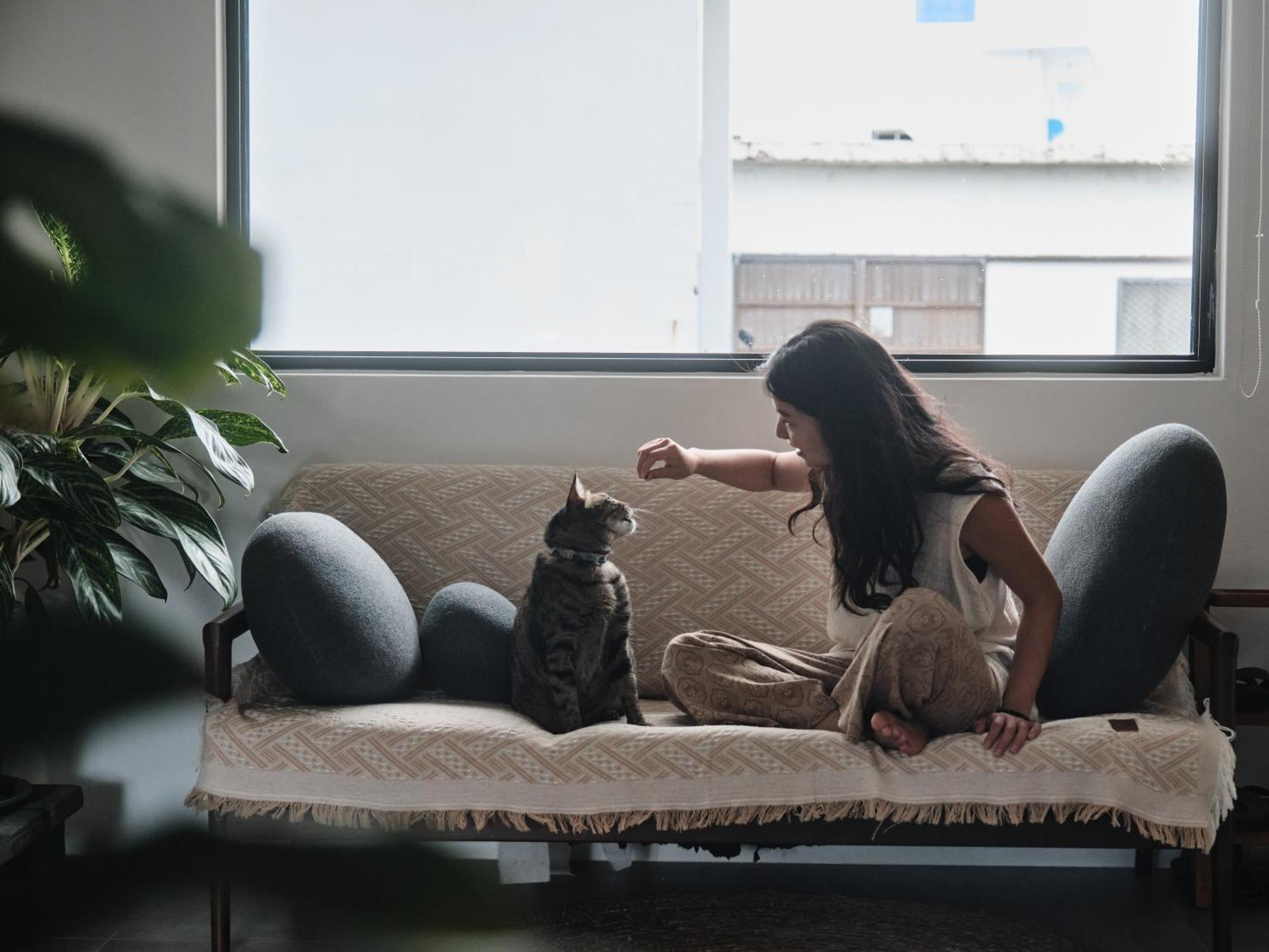 Here It'S Home 그린 아일랜드 외부 사진